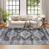 Dripex Vintage 5x7 Area Rugs