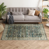 Dripex Vintage 5x7 Area Rugs